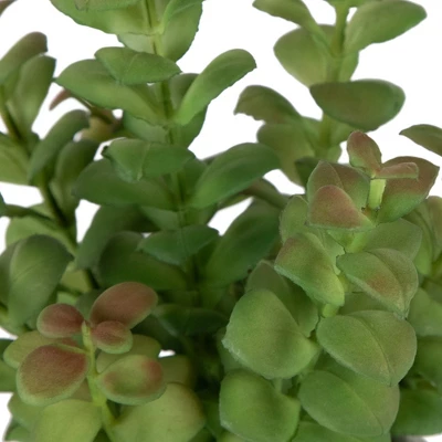 Northlight 12" Artificial Privet Plant In Gray Stone Pot 5 Northlight 12" Artificial Privet Plant In Gray Stone Pot - Image 5