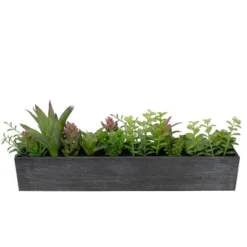 Northlight 23" Artificial Mixed Succulent Plants In A Rectangular Planter -Northlight Décor Sales GUEST 8ef18065 5d8e 48e4 9574 5da9f8739640