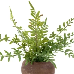 Northlight Real Touch™ Artificial Fern Plant In Orb Pot 11" 10 Northlight Real Touch™ Artificial Fern Plant In Orb Pot 11" -Northlight Décor Sales GUEST 90259672 49af 43c8 975f 8c4796b82ada