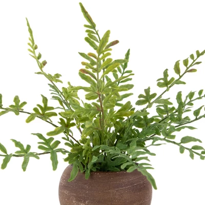 Northlight Real Touch™ Artificial Fern Plant In Orb Pot 11" 4 Northlight Real Touch™ Artificial Fern Plant In Orb Pot 11" - Image 4