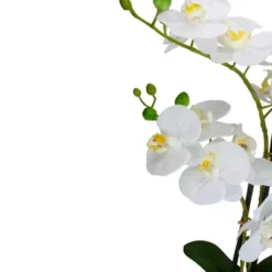 Northlight 22" Artificial White And Yellow Orchid Plant With A White Oval Pot Tabletop Decor 7 Northlight 22" Artificial White And Yellow Orchid Plant With A White Oval Pot Tabletop Decor -Northlight Décor Sales GUEST 91c98237 c7ff 4863 96b9 dee3d7b3f16f