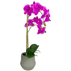 Northlight 14" Purple Artificial Orchid Plant With A Gray Stone Pot 9 Northlight 14" Purple Artificial Orchid Plant With A Gray Stone Pot -Northlight Décor Sales GUEST 91feb411 97d3 4578 bafa 49fae4c0d5df