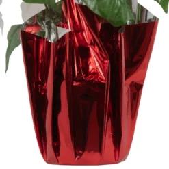 Northlight 14.5" White Artificial Christmas Poinsettia With Red Wrapped Base -Northlight Décor Sales GUEST 92ac672c 696d 4013 8c71 de671af28eab
