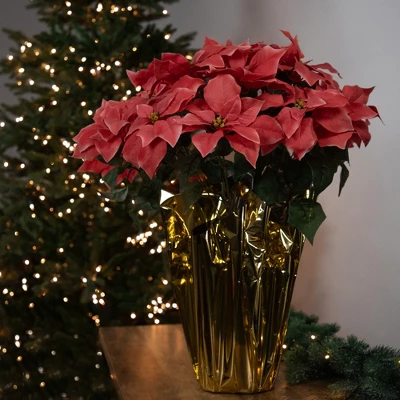 Northlight 28" Dark Pink Artificial Christmas Poinsettia With Gold Wrapped Base 1 Northlight 28" Dark Pink Artificial Christmas Poinsettia With Gold Wrapped Base