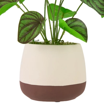 Northlight 10.25" Artificial Peperomia Plant In Two-Tone Ceramic Pot 3 Northlight 10.25" Artificial Peperomia Plant In Two-Tone Ceramic Pot - Image 3