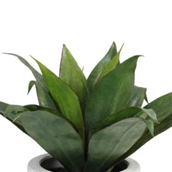 Northlight 13" Agave Artificial Potted Plant - Green 7 Northlight 13" Agave Artificial Potted Plant - Green -Northlight Décor Sales GUEST 976a92f2 4827 4888 ac00 2afcf53b903c