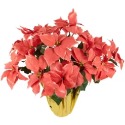Northlight 28" Dark Pink Artificial Christmas Poinsettia With Gold Wrapped Base 7 Northlight 28" Dark Pink Artificial Christmas Poinsettia With Gold Wrapped Base -Northlight Décor Sales GUEST 9f6b5da2 2bac 4328 9d09 b151db3e6a0f