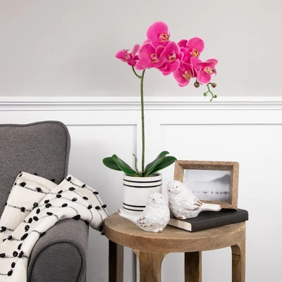 Northlight Real Touch™ Pink Artificial Spring Orchids In A Striped Ceramic Pot 2" 1 Northlight Real Touch™ Pink Artificial Spring Orchids In A Striped Ceramic Pot 2"