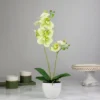 Northlight 14" Ivory, Green, And White Artificial Orchid Potted Plant Tabletop Decor