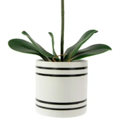 Northlight Real Touch™ Pink Artificial Spring Orchids In A Striped Ceramic Pot 2" 9 Northlight Real Touch™ Pink Artificial Spring Orchids In A Striped Ceramic Pot 2" -Northlight Décor Sales GUEST a7dcac30 dfea 46f1 ac9e 45b9a3a4daeb