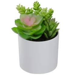 Northlight 5.5” Mixed Artificial Succulent Arrangement In A White Pot 6 Northlight 5.5” Mixed Artificial Succulent Arrangement In A White Pot -Northlight Décor Sales GUEST b0b4160a 5f01 4bcf ad0b d790f41576c6