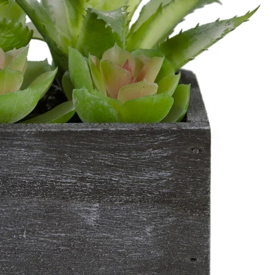 Northlight 10" Artificial Mixed Succulent Plants In A Rectangular Planter 4 Northlight 10" Artificial Mixed Succulent Plants In A Rectangular Planter - Image 4