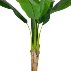 Northlight 4' Artificial Tropical Banana Tree In A Clay Pot 9 Northlight 4' Artificial Tropical Banana Tree In A Clay Pot -Northlight Décor Sales GUEST bfe0e21a a17b 41c1 ba37 5b04cb6342a0