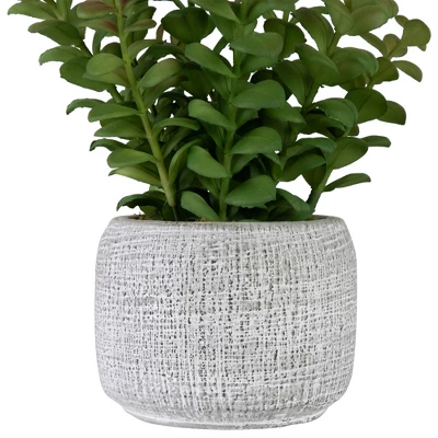 Northlight 12" Artificial Privet Plant In Gray Stone Pot 3 Northlight 12" Artificial Privet Plant In Gray Stone Pot - Image 3