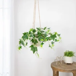 Northlight Décor Sales 6 Northlight 23.75" Ivy Artificial Hanging Spring Floral Bush - Green/White