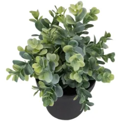 Northlight 10" Green Artificial Melia Azedarach Plant In Black Pot 7 Northlight 10" Green Artificial Melia Azedarach Plant In Black Pot -Northlight Décor Sales GUEST cbee1d85 b563 4695 bf0c ca8d74ab2a94