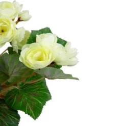 Northlight 11" Cream Potted Silk Begonia Spring Artificial Floral Arrangement 6 Northlight 11" Cream Potted Silk Begonia Spring Artificial Floral Arrangement -Northlight Décor Sales GUEST d1005576 56d8 4ae0 b2cb f58f2f7b439f