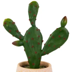 Northlight Real Touch™ Artificial Green And Red Potted Floral Cactus 9.5" 9 Northlight Real Touch™ Artificial Green And Red Potted Floral Cactus 9.5" -Northlight Décor Sales GUEST d441b7e9 68de 46db 87a8 53b658aa8cb7
