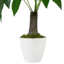 Northlight 18.5" Artificial Guiana Chestnut Plant In White Pot -Northlight Décor Sales GUEST da501613 743a 46ed 956a 71b001639a45
