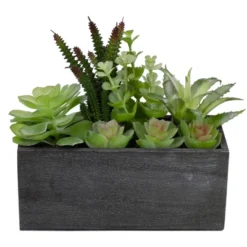 Northlight 10" Artificial Mixed Succulent Plants In A Rectangular Planter 6 Northlight 10" Artificial Mixed Succulent Plants In A Rectangular Planter -Northlight Décor Sales GUEST dda60922 fc5b 422d a2aa 5ab6a9e1dcdc