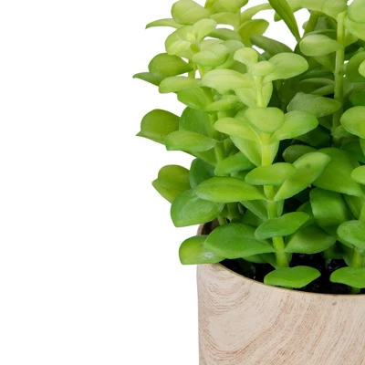 Northlight 10" Green Artificial Privet Plant In Faux Wood Pot 3 Northlight 10" Green Artificial Privet Plant In Faux Wood Pot - Image 3