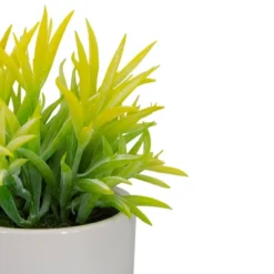 Northlight 8" Potted Green Artificial Succulent With Wooden Stand 6 Northlight 8" Potted Green Artificial Succulent With Wooden Stand -Northlight Décor Sales GUEST e7d9eda8 b2ea 4de0 8eab 0b532f603028