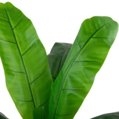 Northlight 4' Artificial Tropical Banana Tree In A Clay Pot 10 Northlight 4' Artificial Tropical Banana Tree In A Clay Pot -Northlight Décor Sales GUEST e9978b3c 2a67 4e95 8d44 b47052ac7f16