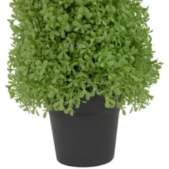 Northlight 15" Artificial Boxwood Cone Topiary Tree With Round Pot, Unlit 7 Northlight 15" Artificial Boxwood Cone Topiary Tree With Round Pot, Unlit -Northlight Décor Sales GUEST ea83e74b 00c1 4231 9e30 fa25197ea5d3