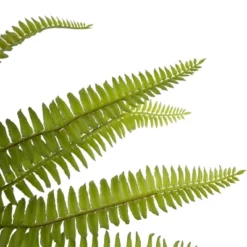 Northlight 12" Artificial Boston Fern Plant In Aztec Pattern Ceramic Pot 8 Northlight 12" Artificial Boston Fern Plant In Aztec Pattern Ceramic Pot -Northlight Décor Sales GUEST eb4d02ab f9be 43d5 a08d d1c27baaf534