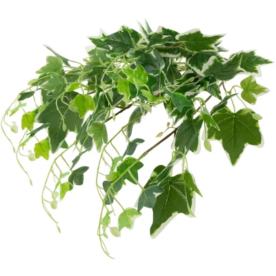 Northlight 23.75" Ivy Artificial Hanging Spring Floral Bush - Green/White 4 Northlight 23.75" Ivy Artificial Hanging Spring Floral Bush - Green/White - Image 4