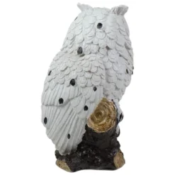 Northlight 6" White Owl Perched On A Branch Outdoor Garden Statue 7 Northlight 6" White Owl Perched On A Branch Outdoor Garden Statue -Northlight Décor Sales GUEST f28a2e98 61af 45c1 a855 994886865c3d
