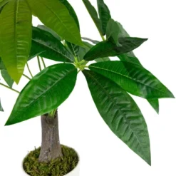 Northlight 18.5" Artificial Guiana Chestnut Plant In White Pot -Northlight Décor Sales GUEST f79c3e27 17fe 45d2 a1ee 144e410ac2fb