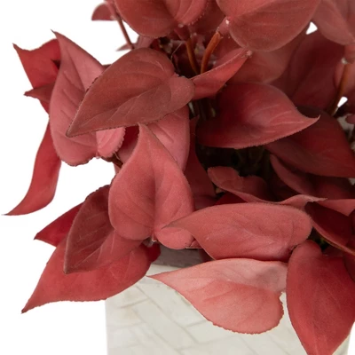 Northlight Real Touch™ Brick Red Artificial Peperomia Plant In Square Lattice Designed Pot - 7 " 3 Northlight Real Touch™ Brick Red Artificial Peperomia Plant In Square Lattice Designed Pot - 7 " - Image 3