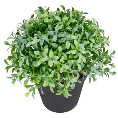 Northlight 7.5" Potted Green Artificial Boxwood Plant 2 Northlight 7.5" Potted Green Artificial Boxwood Plant - Image 2