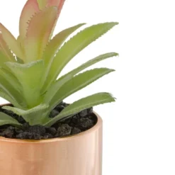 Northlight 5" Green Artificial Aloe Plant In A Rose Gold Pot 5 Northlight 5" Green Artificial Aloe Plant In A Rose Gold Pot -Northlight Décor Sales GUEST ff91a300 a789 4e25 9d28 4e492de246f5