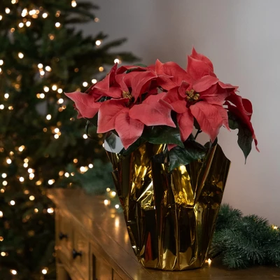 Northlight 14.5" Dark Pink Artificial Christmas Poinsettia With Gold Wrapped Base 1 Northlight 14.5" Dark Pink Artificial Christmas Poinsettia With Gold Wrapped Base